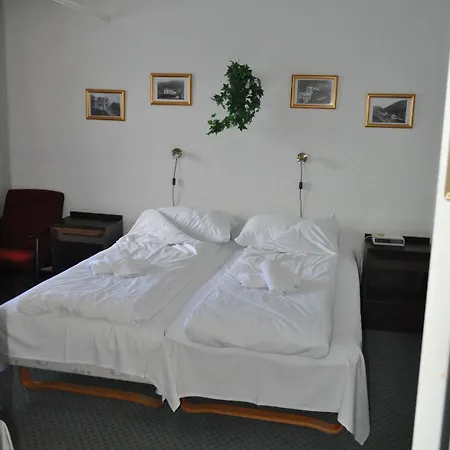 Vinje Turisthotel 3* Myrkdalen