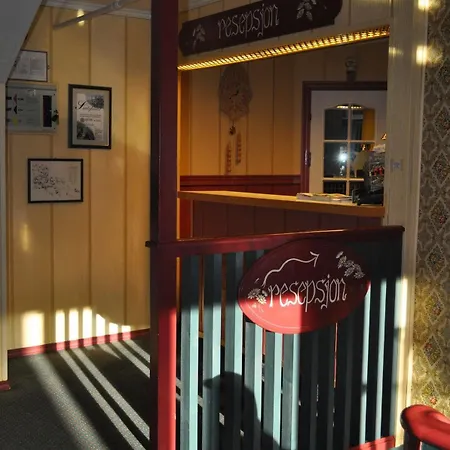 Vinje Turisthotel 3* Myrkdalen